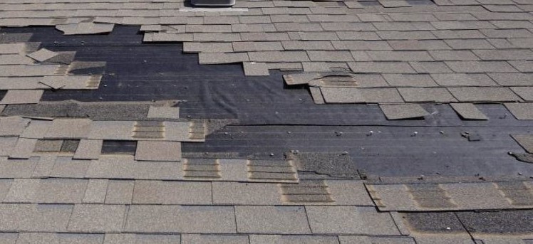 Preventative Roof Maintenance - Absolute Roof Solutions Roof Repairs ...