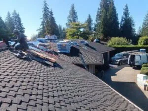 A worker replaces shingles on a roof, surrounded by tall evergreen trees in the Capilano Neighborhood of North Vancouver. Nearby, a white van and a truck sit in the driveway under a clear blue sky, signaling a day dedicated to roof replacement.