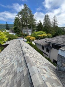 View from a rooftop with grey shingles, overlooking neighboring houses, tall green trees, shrubs, and a partly cloudy blue sky in a suburban setting—a perfect addition to any residential roofing gallery.
