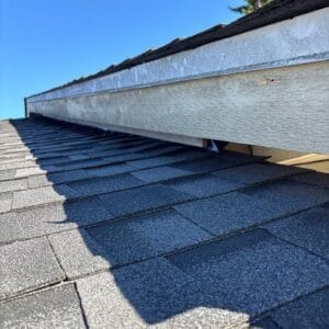 Close-up view of a house roof from Absolute Roof Solutions, featuring asphalt shingles and a wooden fascia board, with a clear blue sky and partial tree—a great example for housing cooperative roof replacement needs.