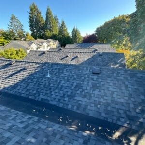 View of residential rooftops with gray shingles, possibly maintained by Absolute Roof Solutions, surrounded by trees and neighboring houses under a clear blue sky on a sunny day.