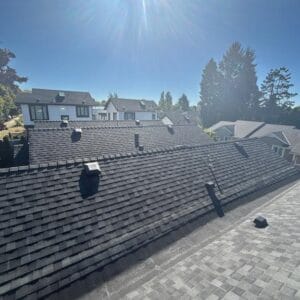 A sunny day view from a rooftop showing several houses with dark shingled roofs, tall trees in the background, and the bright sun high in a clear blue sky, perfectly capturing the quality of an Absolute Roof Solutions roof replacement.