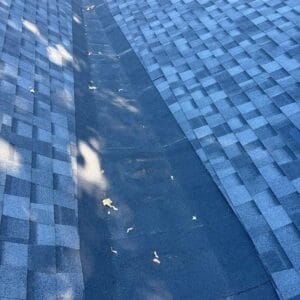 A rooftop with dark gray shingles, expertly installed by Absolute Roof Solutions, features a wide, clean valley down the center. A few small leaves are scattered along the valley, with part of a house and some greenery visible in the background.