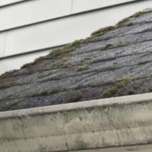 The shingles are retaining moisture, and many areas have significant algae damage and moss.