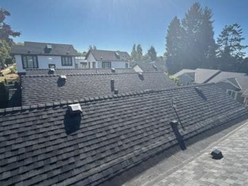 View of several black shingle rooftops under bright sunlight, with houses, trees, and a clear blue sky—an ideal scene for a housing cooperative considering roof replacement by Absolute Roof Solutions.
